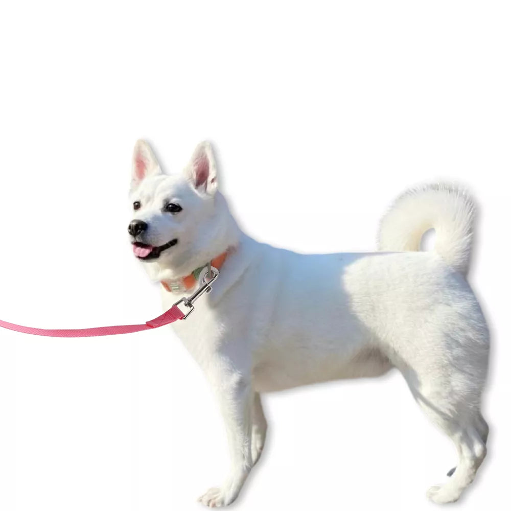 Long Length Training Dog Lead