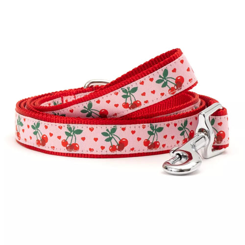 Pattern Daily Dog Walking Leash